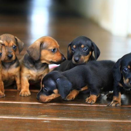 โอเชียน พาราไดซ์ รีสอร์ต Bed & Breakfast เขิ่นติง ภายนอก รูปภาพ