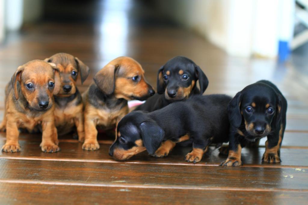 โอเชียน พาราไดซ์ รีสอร์ต Bed & Breakfast เขิ่นติง ภายนอก รูปภาพ