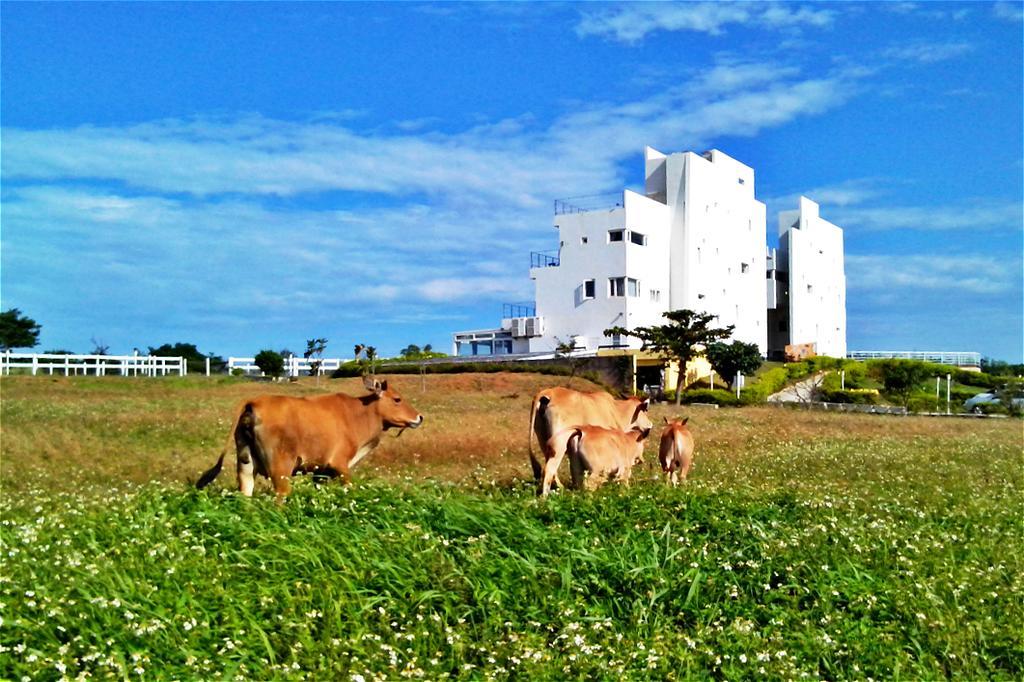 โอเชียน พาราไดซ์ รีสอร์ต Bed & Breakfast เขิ่นติง ภายนอก รูปภาพ